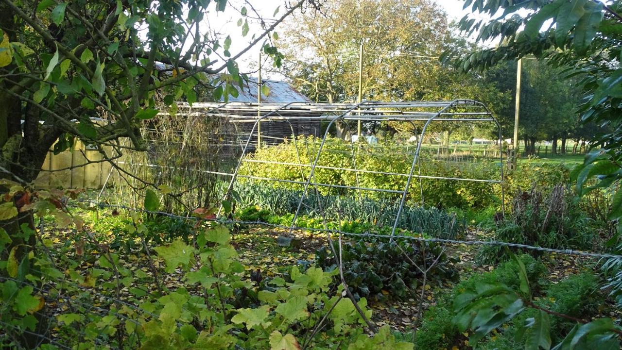 A La Ferme De Thilloy Bed and Breakfast Ligny-Thilloy Buitenkant foto
