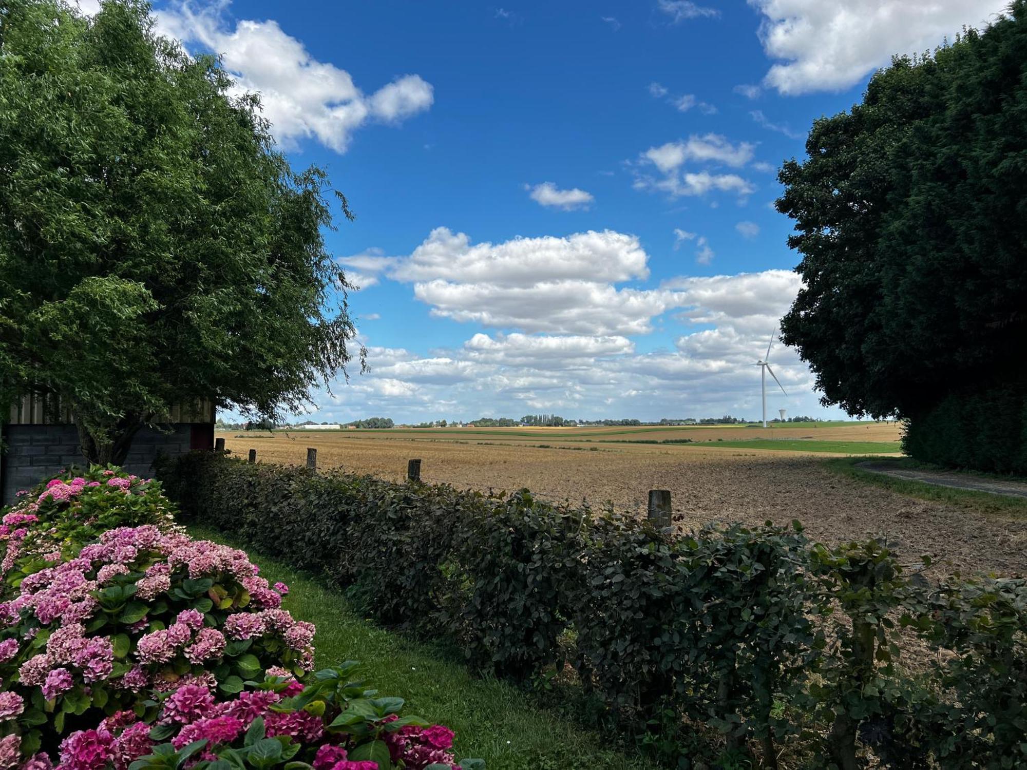 A La Ferme De Thilloy Bed and Breakfast Ligny-Thilloy Buitenkant foto