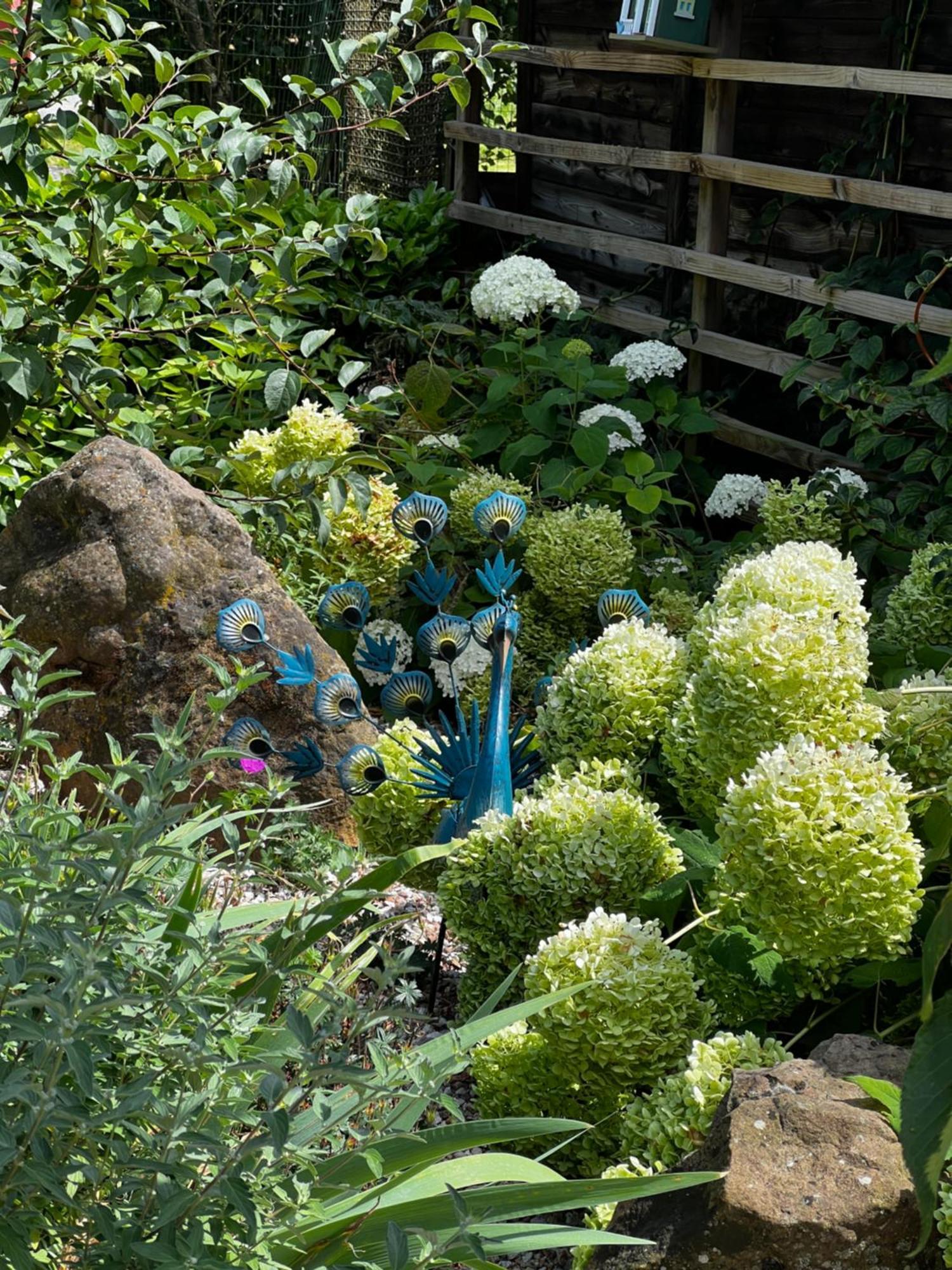 A La Ferme De Thilloy Bed and Breakfast Ligny-Thilloy Buitenkant foto
